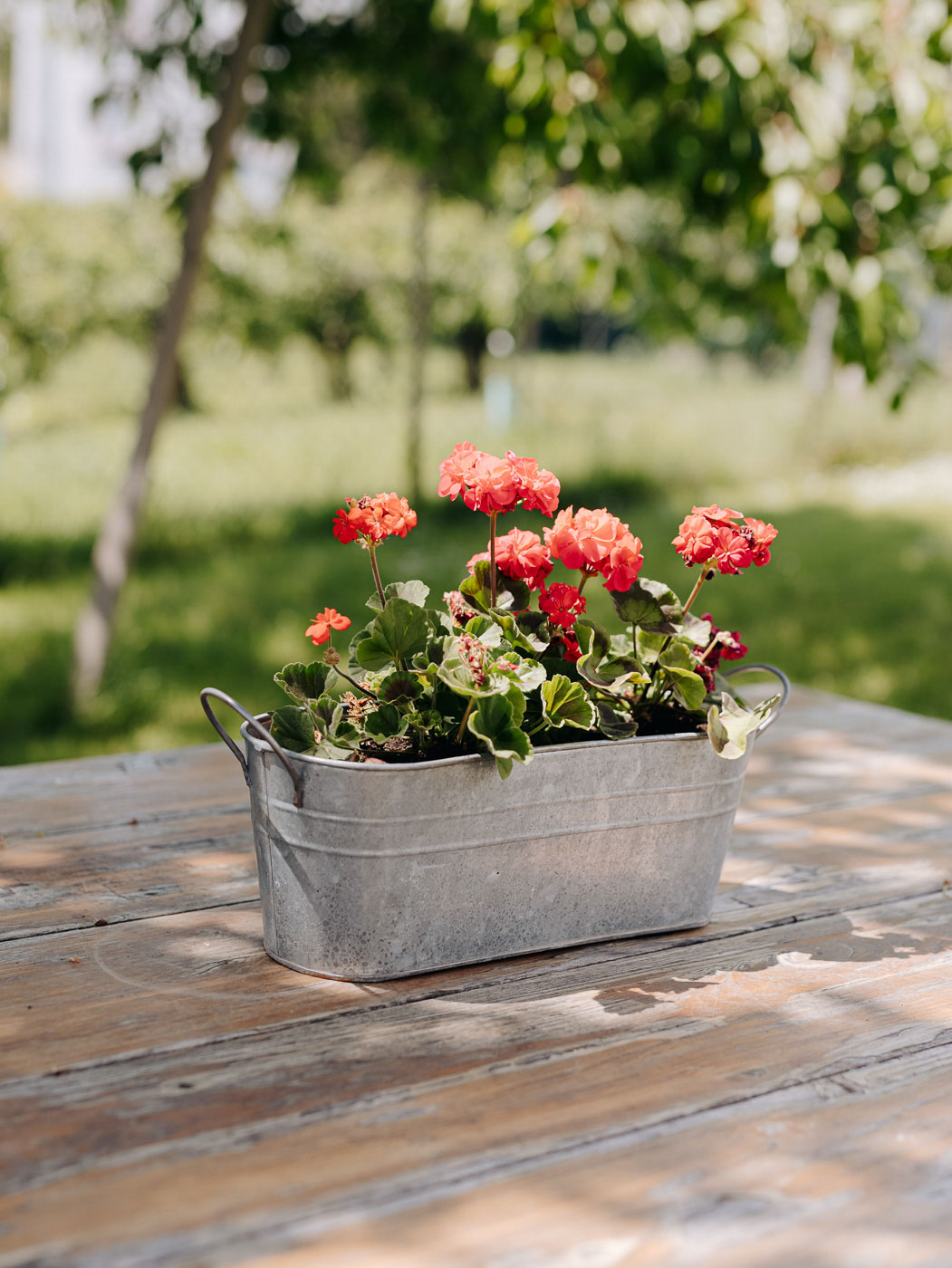 Startseite Zum Kapellchen